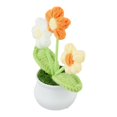 thumbnail image 2 of Bgsha Handwoven Wool Crochet Puff Flower Pot: A Timeless,Low-maintenance Home Decor!, 2 of 10