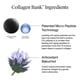 thumbnail image 5 of Crema hidratante Neutrogena Collagen Bank Face 80 ml antienvejecimiento, 5 of 9
