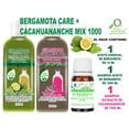 thumbnail image 1 of Bergamota Care + Cacahuananche Mix 1000 VIVONATURAL. Shampoo Aceite de Bergamota 1000 ml + Shampoo Extracto de Cacahuananche 1000 ml + Aceite Esencial de Bergamota 10 ml, 1 of 5