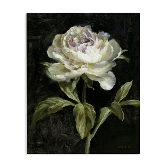 Stupell Industries Peony on Black Plants & Flowers Painting Wrapped Canvas Art Print Wall Art, 16 x 20
