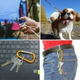 thumbnail image 3 of Lefu Strong Metal Carabiner Clip Snap Spring Loaded Climbing Karabiner D Hook, 3 of 3