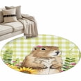 thumbnail image 2 of Groundhog Day 3ft Area Rug, Yellow Plaid Sunflower Spring Floral Washable Non-Slip Small Round Rugs for Entryway Bedroom Kitchen, Soft Circle Carpet for Dining Room, Playroom Nursery Rug, 2 of 9