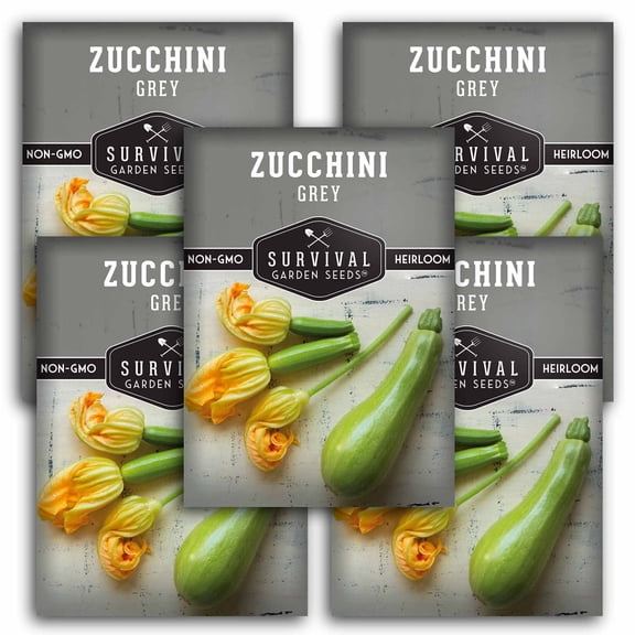 Grey Zucchini Seeds - Heirloom Full Sun Annual Vegetable - 5 Packs