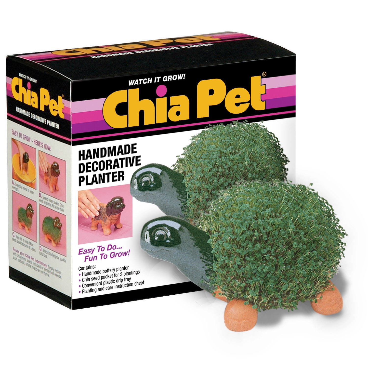 chia turtle