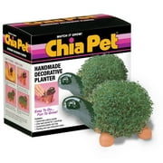 Chia Pet Turtle Decorative Pottery Planter, Easy to Do and Fun to Grow, Novelty Gift As Seen on TV