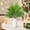 C, variant on Dvkptbk Pine Needle Green Plants Christmas Branches Leaves Stems Artificial Christmas Branches for Diy Garland Wreath and Home Garden Decoration Home Decor