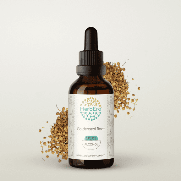 HerbEra Goldenseal Root Tincture, Herbal Dietary Supplement for Immune Support, Goldenseal (Hydrastis сanadensis) Dried Root Extract, Natural, Alcohol Tincture, Drops 2 oz