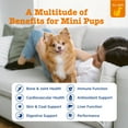 thumbnail image 3 of Zesty Paws 8-in-1 Multivitamin Mini Bites for Small Dogs, Chicken, 90 ct, 3 of 12
