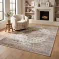 thumbnail image 3 of Rug Branch Sakarya Collection Oriental Distressed Indoor Area Rug, 3 of 8