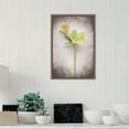 thumbnail image 6 of Amanti Art Canvas Art Framed Vintage Hellebore Study II, 6 of 11