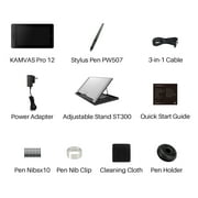 Huion Kamvas Pro 12 11.6 Inch FHD IPS LCD Graphics Drawing Tablet, 8192 Pressure Sensitivity, Black