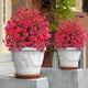 thumbnail image 4 of Decoración de pinza de flor artificial Rojo, 4 of 6