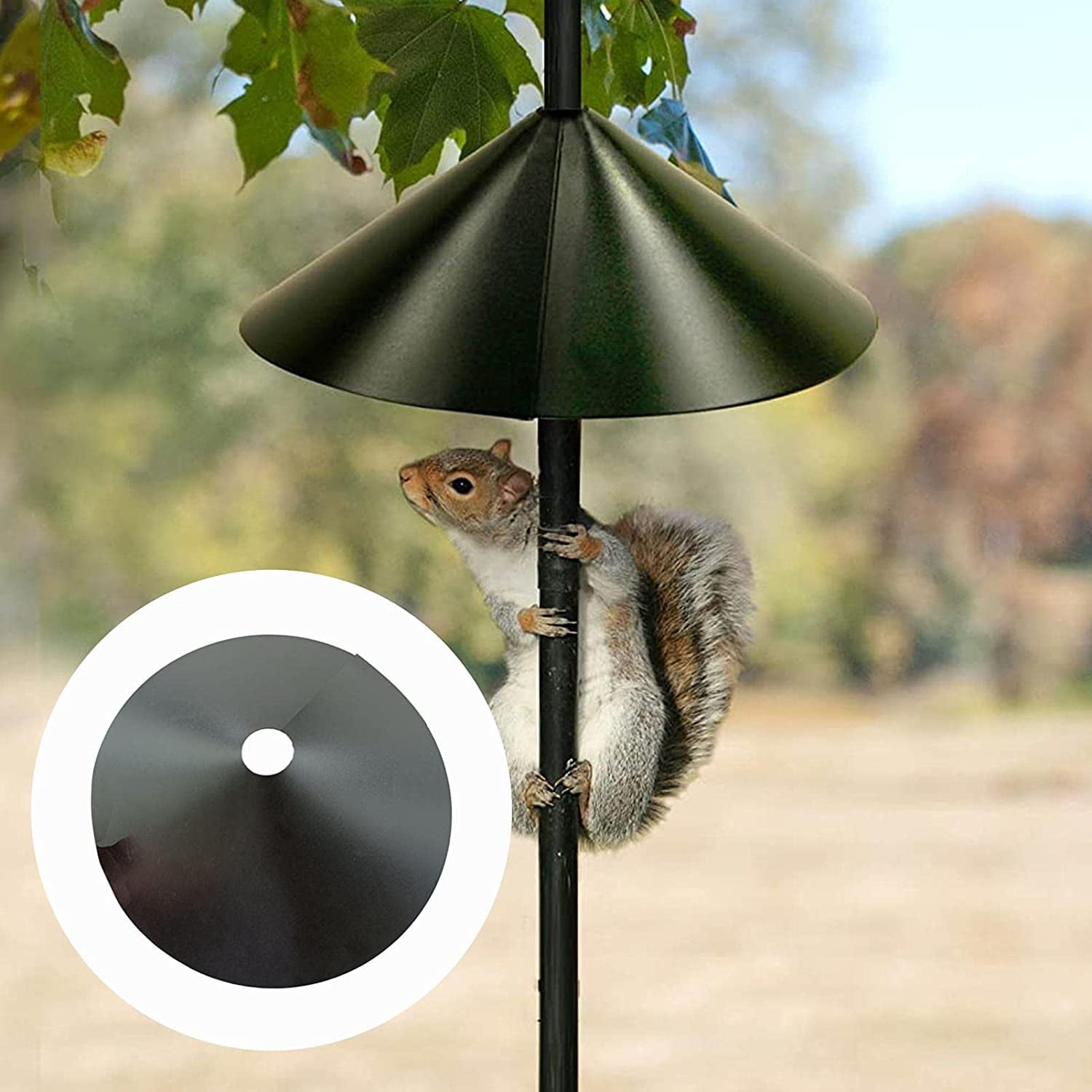 standing squirrel proof bird feeder