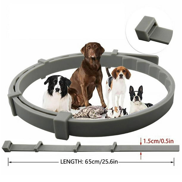 Mosquito repellent for dogs walmart 2025
