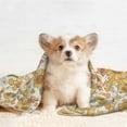 thumbnail image 4 of Pofeuu Retro 70s 60s Flower Print Puppy Blanket,Dog Blankets,Pet Blanket Cozy Cat Blankets for Indoor Cats, Fuzzy Pet Blanket for Kitten Doggy Dog Blankets-Large, 4 of 8