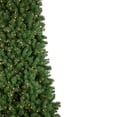 thumbnail image 3 of Northlight Pre-Lit Pendleton Spruce Slim Artificial Christmas Tree Clear Lights, 3 of 8