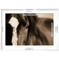 thumbnail image 5 of Art.com Dark Eyes Photographic Print by Lisa Dearing, White Frame Wall Art, 29" x 21", 5 of 5