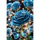 thumbnail image 2 of 5D DIY Kit Rosa Del Arte Artesanal 40x60cm, 2 of 9