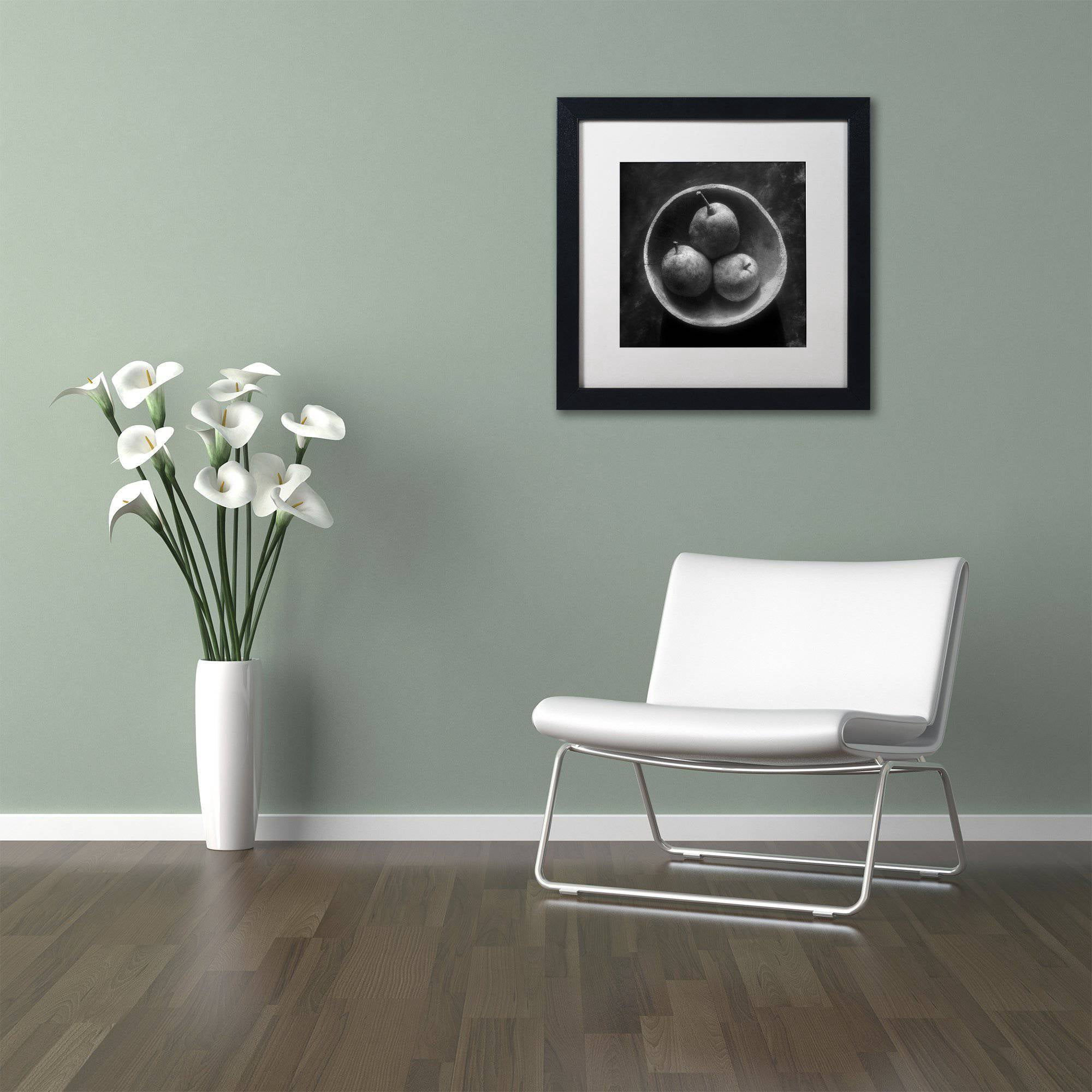 Trademark Fine Art "Circulo de Peras" Canvas Art by Moises Levy White Matte, Black Frame