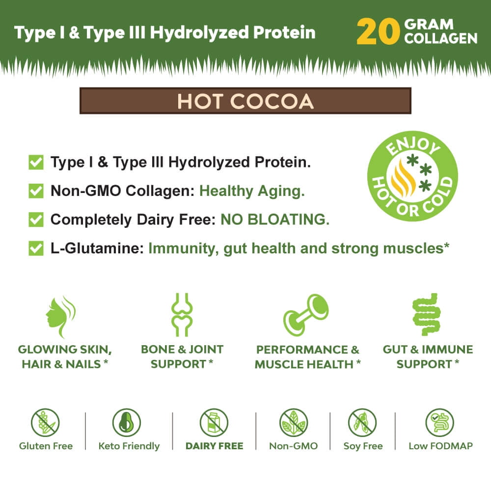 MariGold Collagen Peptides - Hot Cocoa 1LB - Pure Type I & III Bovine Hydrolyzed Collagen, Non-GMO, Dairy Free