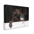 thumbnail image 3 of Stupell Industries Labrador Dog Overlooking Farm Leaning Barn Door Photograph Gallery Wrapped Canvas Print Wall Art, Design by James Dobson, 3 of 7