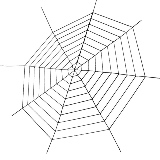Telaraña de telarañas para decoración de y exterior de Halloween - Negro 9 Soledad Halloween Spider Wed