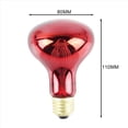 thumbnail image 4 of Bombilla de Luz Infrarroja de 8 Paquete de 100W Luz Roja Bombillas de para Lagartos Mascotas Dragones Barbudos Camaleones Serpientes Reptiles y Anfibios 220V, 4 of 5