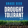 thumbnail image 2 of Scotts Grass Seed Drought Tolerant Mix, 5,000 sq. ft., 10 lb., 2 of 11