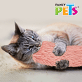 thumbnail image 5 of JUGUETE P/GATO GUSANO ESPACIAL, 5 of 5