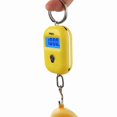 thumbnail image 3 of Riwesomey Báscula colgante Digital de 25Kg x 5g, Mini báscula electrónica con gancho para equipaje, retroiluminación LCD, colgante electrónico, pesaje Medidores de medidas dimensionales amarillo Riwesomey GJ0423-03B, 3 of 6