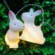thumbnail image 5 of Guirnalda de luces de conejo de Pascua de 1,5 m, 10 lámparas LED, luz decorativa de conejito de Pascua, decoración de Pascua feliz, 5 of 5