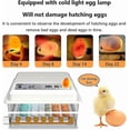 thumbnail image 3 of Egg Incubator 36/48/56 With Temperature Humidity Display Automatic Turning Candling Device For Chicken Duck Quail Eggs, 3 of 5