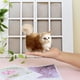 thumbnail image 4 of Juguete realista de gato ronroneante | Modelo de peluche de gato realista | Regalo educativo para niños | Decoración para escritorio y estantería | 12 x 6 x 12 cm, 4 of 5