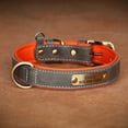 thumbnail image 3 of Didog Soft Leather Padded Dog Collar Customized Personalized Adjustable Pet Name and Number Engraved, 3 of 9