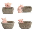 thumbnail image 2 of Cute Pig Pots Garden Fun Succulent Potted Desktop Plants Pots Bonsai Funny Plants Holder, 2 of 9