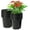 1-G Black, variant on AEED. 0.5 Gallon Nursery Pots, Black Plastic Plant Pots with Drainage Holes, Reusable Seed Starter Pots for Planting, 30 Pack (6.70" x 5.10" x 6.90")