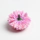 thumbnail image 5 of Conjunto Piezas de Decoración de Artificiales, álbum de fotografía, , Creativo, Bricolaje púrpura rosado Colco Crisantemo falso, 5 of 8