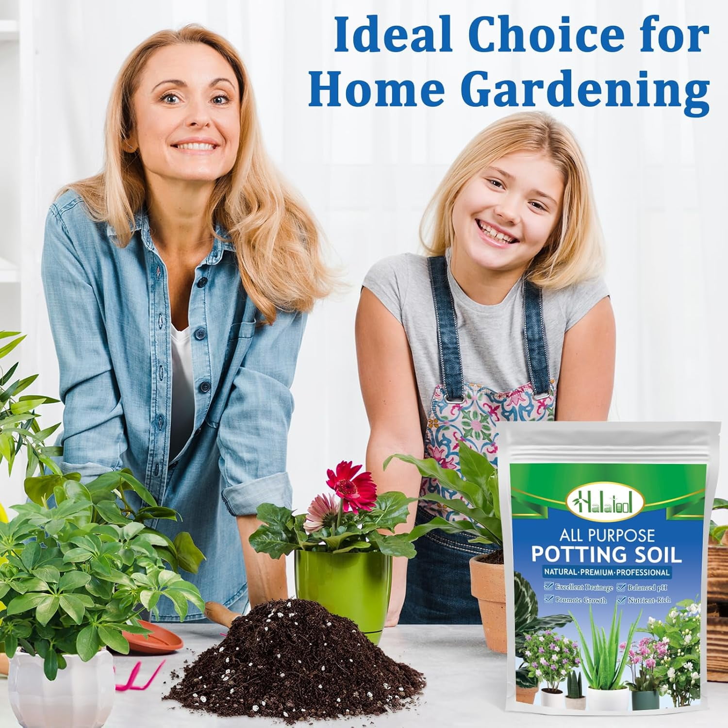 10QT Indoor Potting Soil for Plants Orchid Potting Mix Garden Top Succulent Bonsai Soil for Aloe Vera Houseplants Flowers Vegetables & Herbs