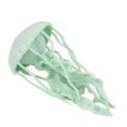 thumbnail image 1 of 2x Modelo de medusas Modelo de oceánicas Vivid Juguetes educativos Herramientas para niños, 1 of 8
