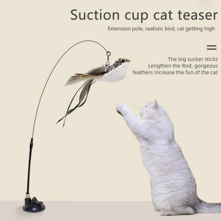 Kitty Suction Cup Feather Toy - Cat Toys - Seashore Fur Babies, Beach Side  Pet Boutique