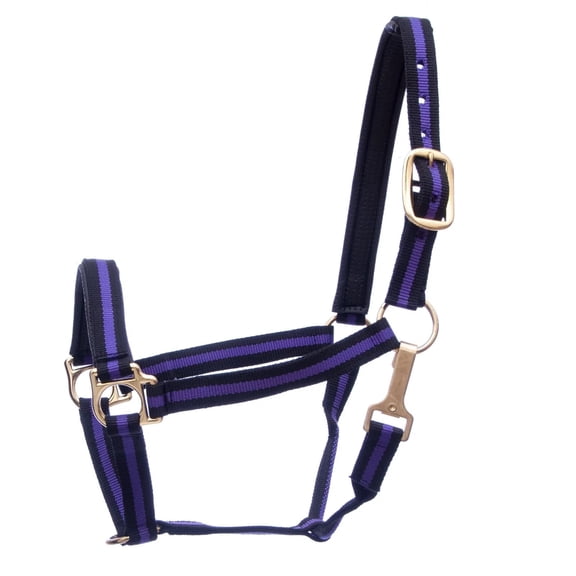 Jeffers Padded Halter with Snap | Purple/Black