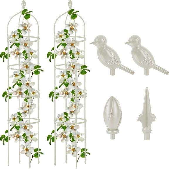 2 Pcs Garden Obelisk Trellis for Climbing Plants Outdoor 6 Ft Rose Bush Round Trellis for Pots Rustproof Metal Plant Flower Trellises for Clematis Vine Jasmine Support Outdoor Indoor