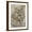 Brown Frame, variant on Art.com Grace II Art Print by Tim O'toole, 12" x 16"
