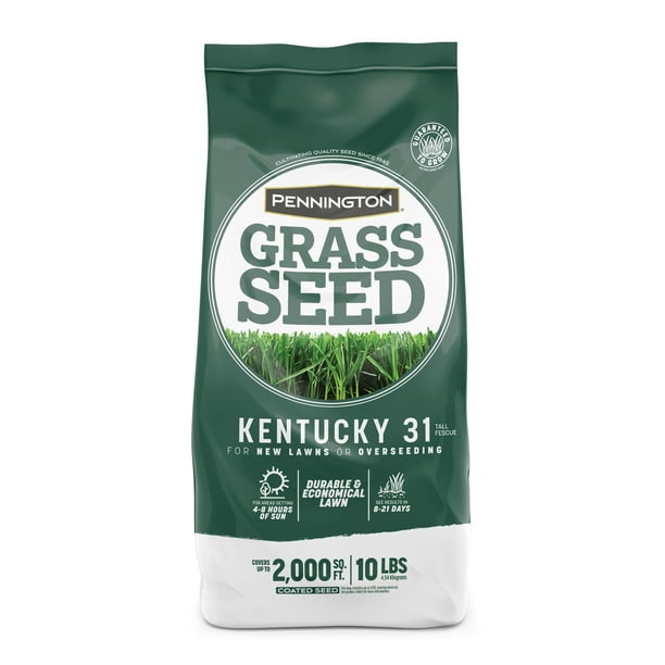 Pennington Kentucky 31 Tall Fescue, KY31 Grass Seed; 10 Pound Bag