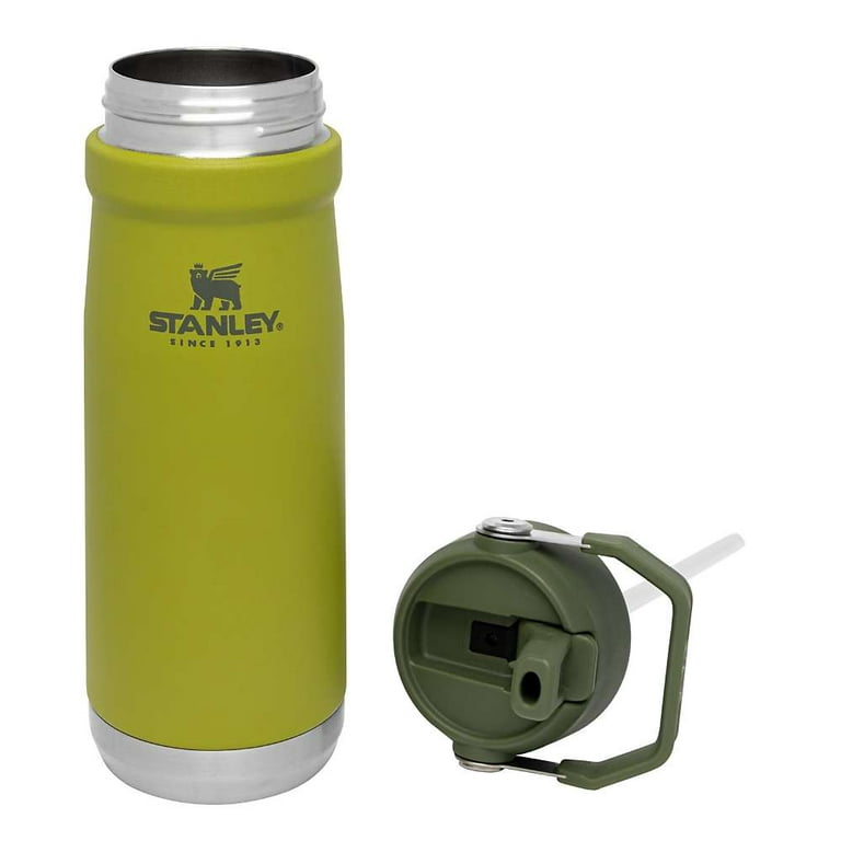 Stanley IceFlow Stainless Steel Water Bottle and Tumbler - Walmart Finds