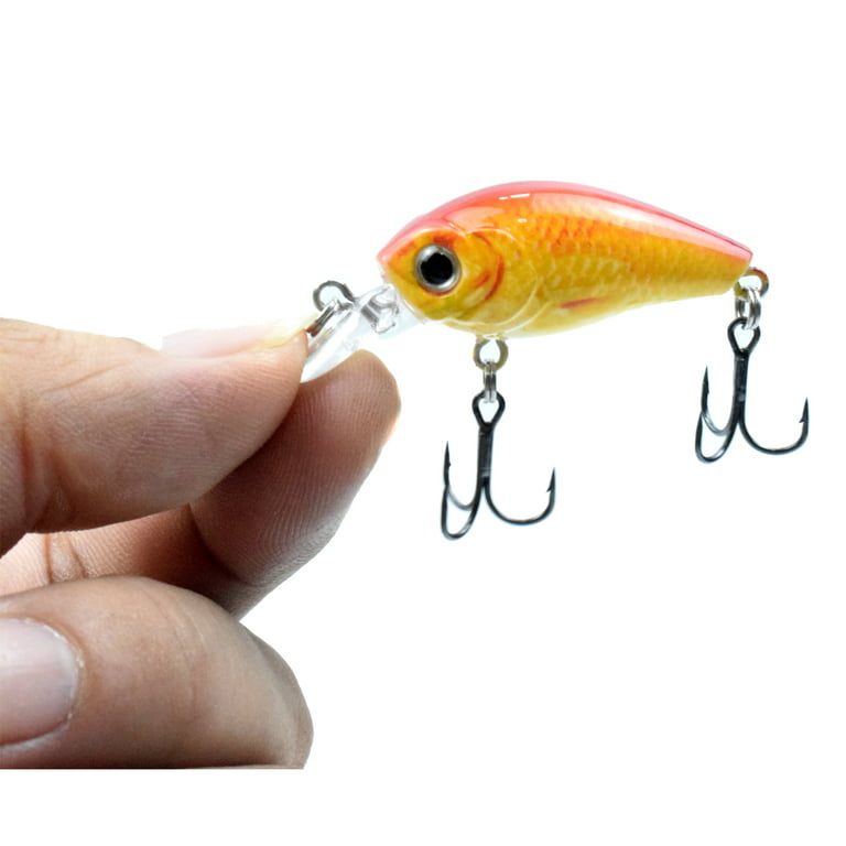 Lixada 5pcs Fishing Lures Set Hard Body Lures with Treble Hook Life-Like Swimbait Fishing Bait 3D Eyes Artificial Baits Crankbait with Tackle Box