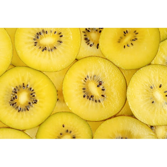 50 Seeds GOLDEN KIWI FRUIT Yellow Actinidia Chinensis Kiwifruit Chinese Gooseberry Flower Vine Seeds