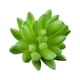 thumbnail image 2 of Mini suculentas Toystoory 10 piezas decorativas plantas simuladas, 2 of 6