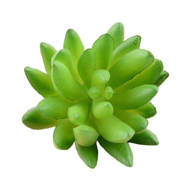 10x Fake Succulents Small Vivid Useful Simulated Plants Multi-functional Lifelike Photo Props for Household Yards Lawn Flowerpot Type 10