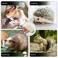 thumbnail image 3 of FOMIYES Tapete Refrescante Para Mascotas Con Material Resistente Ideal Para Conejos Y Hámsters, 3 of 7